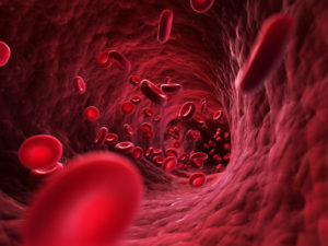 Interventional cardiologist near me