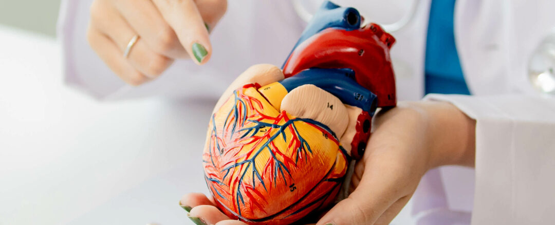 Vascular Diseases
